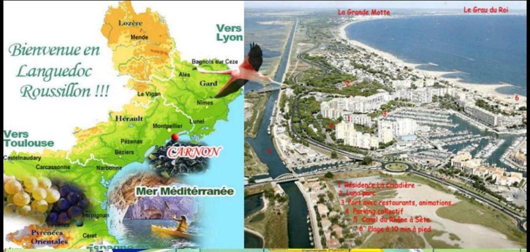 Suite-Junior -Villa Helene - Montpellier Sud - Aeroport- Piscine Privee-2Mn Des Plages Pérols Buitenkant foto