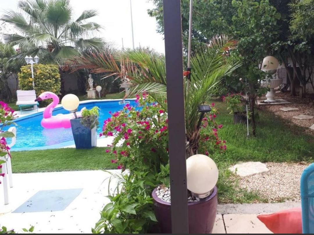 Suite-Junior -Villa Helene - Montpellier Sud - Aeroport- Piscine Privee-2Mn Des Plages Pérols Kamer foto